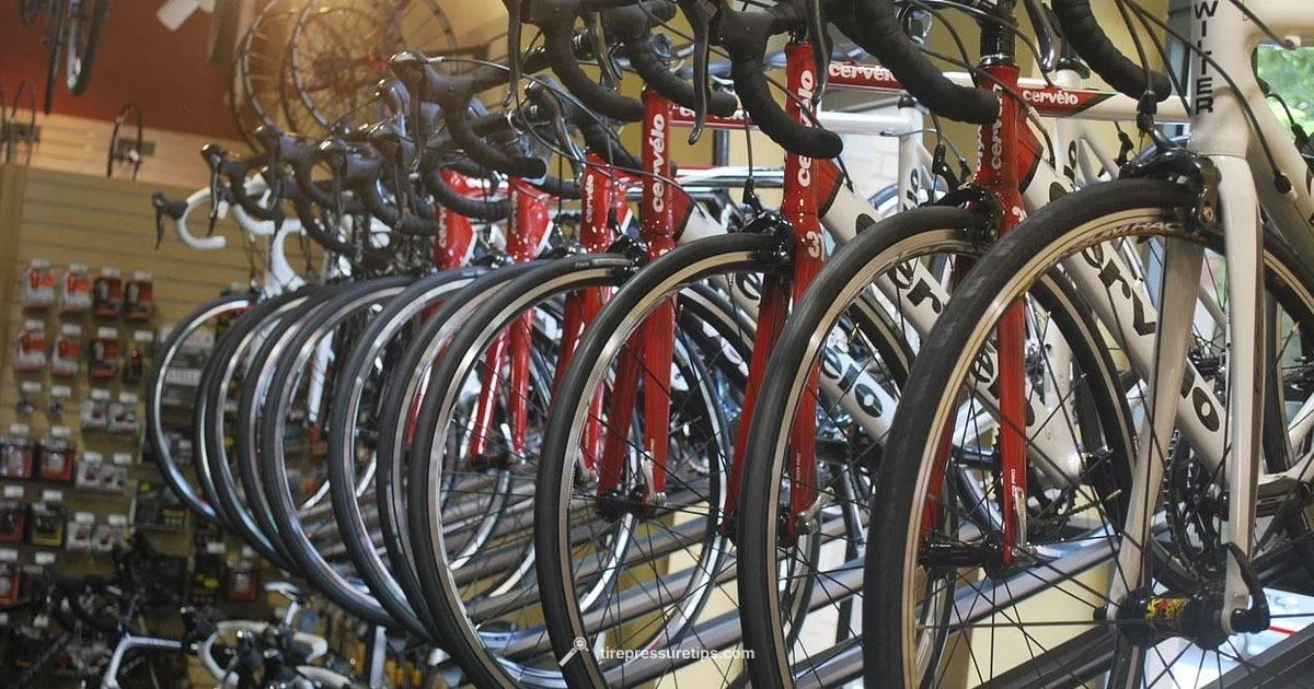 Bike TPMS Guide - Tire Pressure Tips