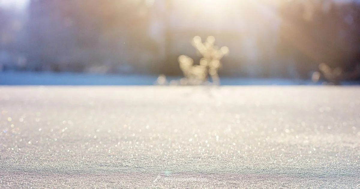 Snow Blower Tire Pressure - Tire Pressure Tips