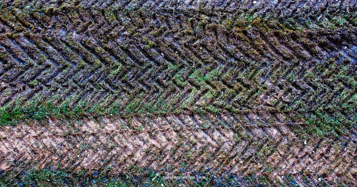 Tire Warranty Guide - Tire Pressure Tips