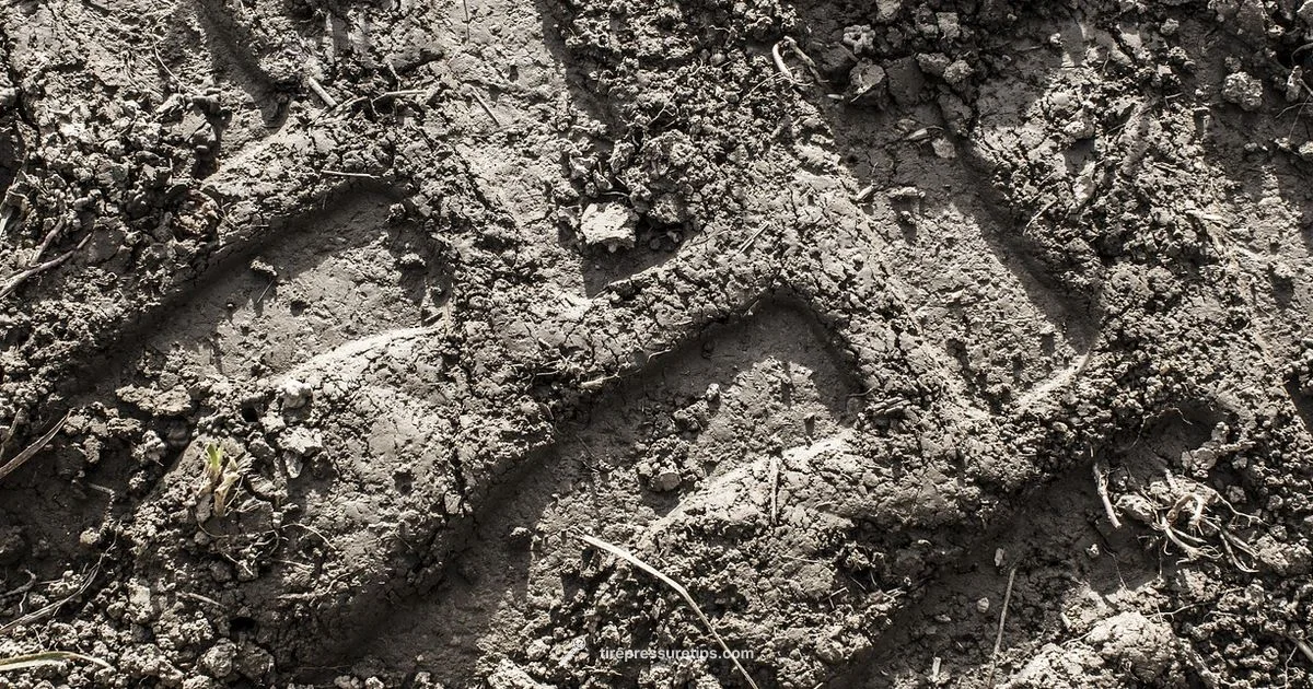 Check Tire Pressure - Tire Pressure Tips