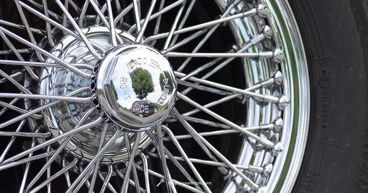 Schrader TPMS Guide - Tire Pressure Tips