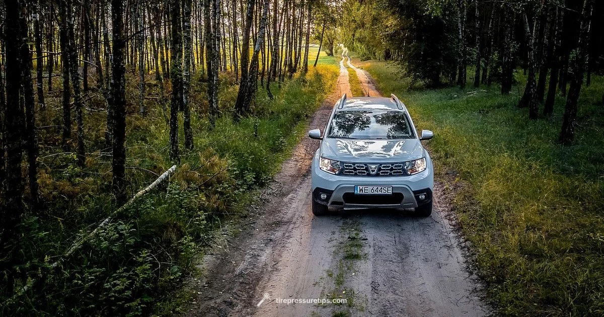 Dacia Duster Tyre Pressure - Tire Pressure Tips
