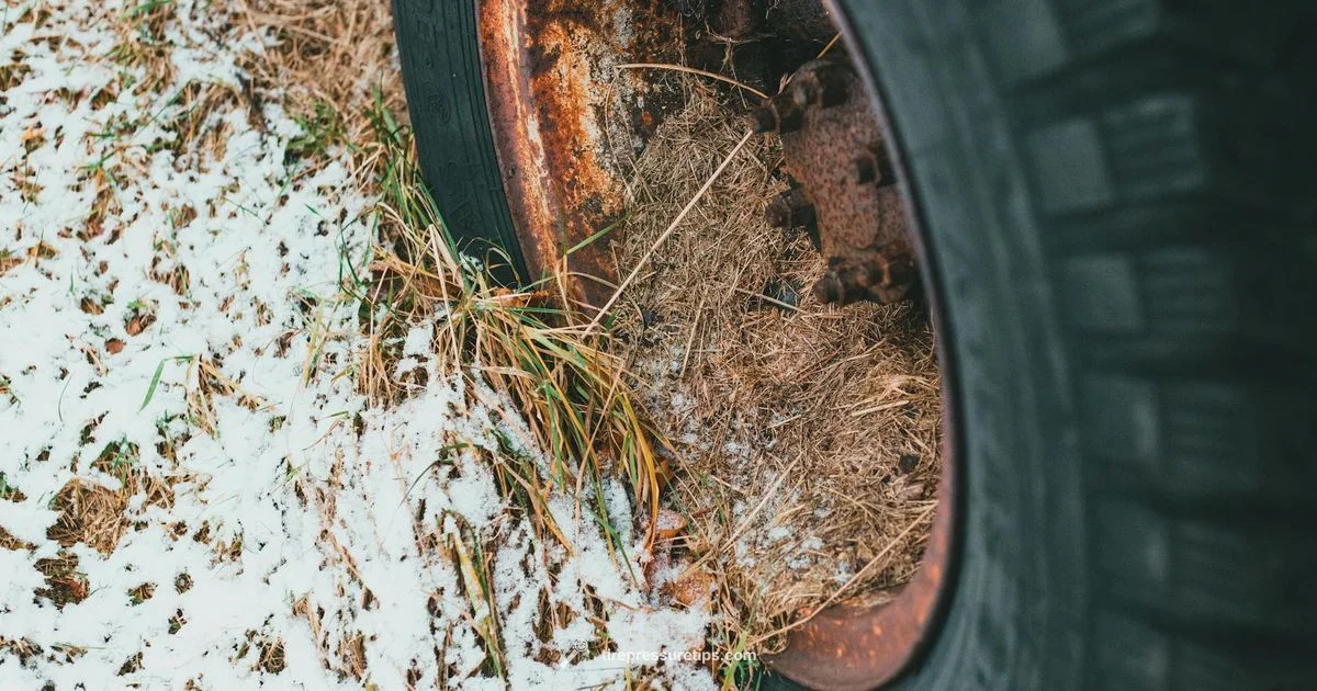 StreetStrider Pressure Check - Tire Pressure Tips