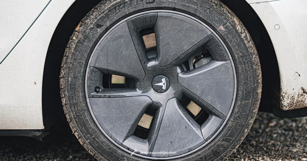 TPMS Mandate Timeline - Tire Pressure Tips