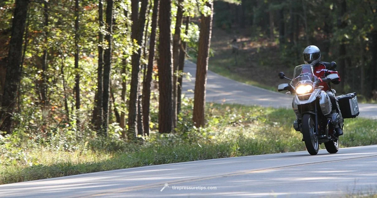 G310R Tyre Tips - Tire Pressure Tips