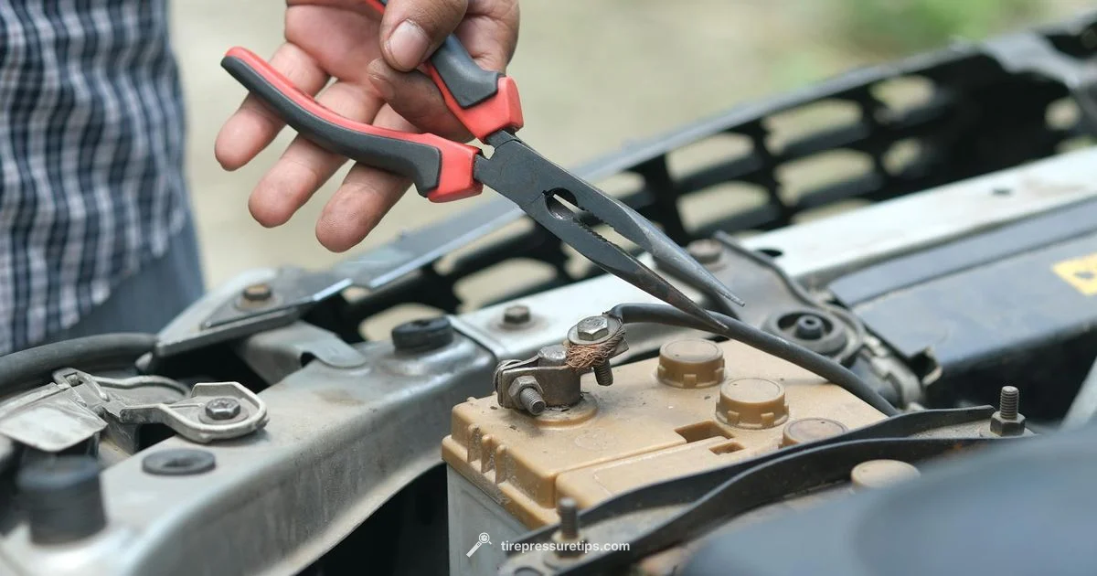 TPMS Battery Lifespan - Tire Pressure Tips