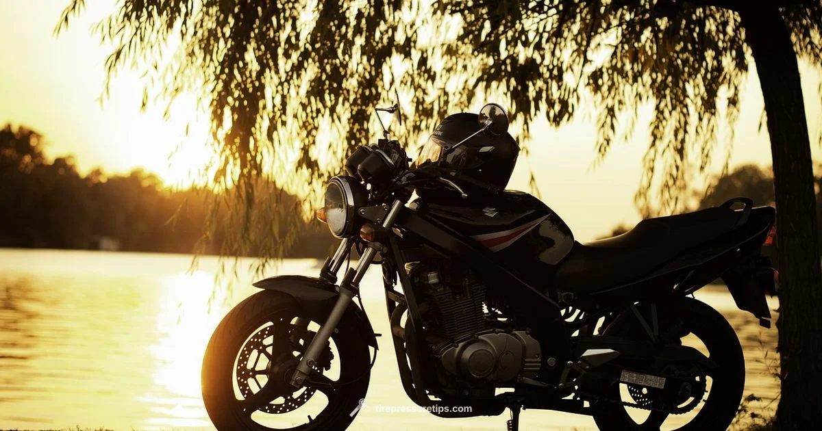 Ninja 500 Tire Pressure - Tire Pressure Tips