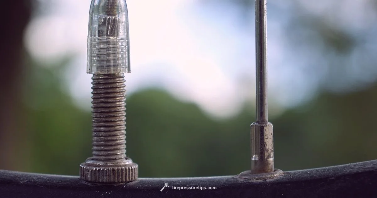 Inflation Check - Tire Pressure Tips