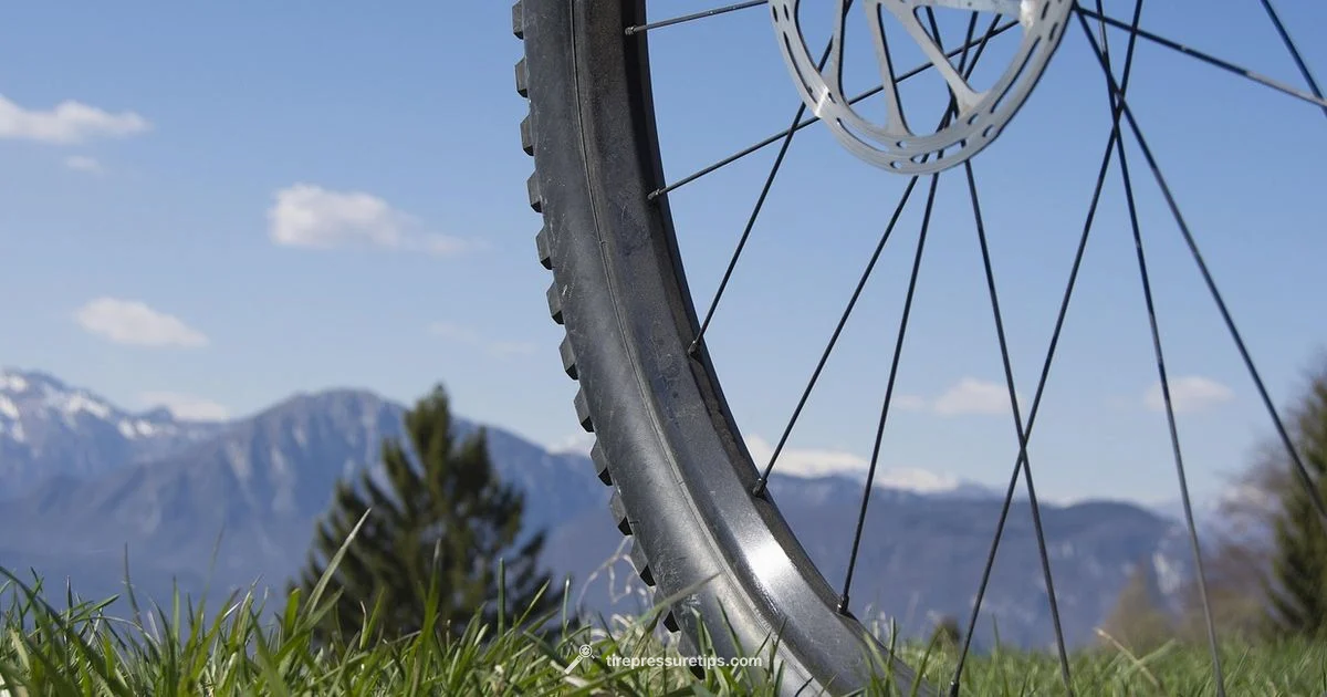 Check Tire Pressure - Tire Pressure Tips