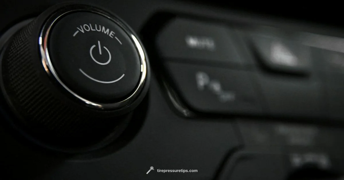 EcoSport Tyre Check - Tire Pressure Tips