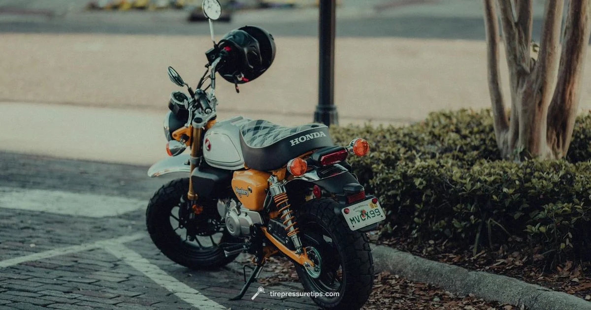 Brio Tyre Pressure Guide - Tire Pressure Tips