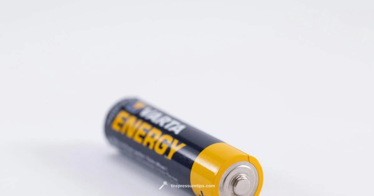 TPMS Battery Guide - Tire Pressure Tips