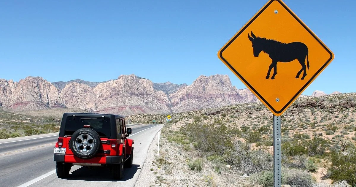 TPMS Guide - Tire Pressure Tips