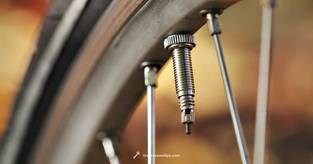 Valve Stem TPMS Guide - Tire Pressure Tips