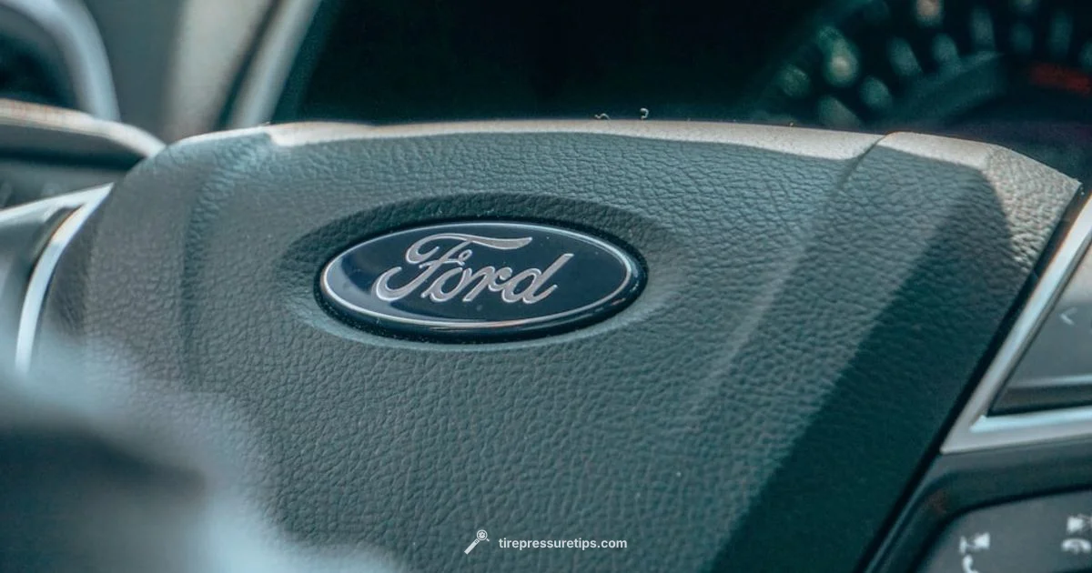 Reset Ford TPMS Fault - Tire Pressure Tips