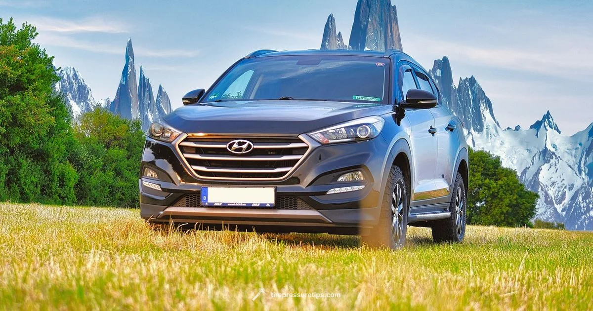 TPMS Troubleshooting - Tire Pressure Tips