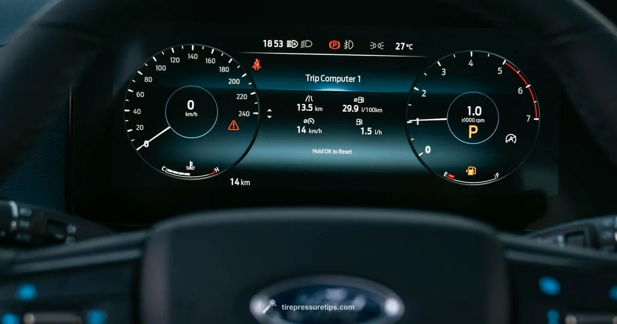 Digital Gauge Inflator - Tire Pressure Tips