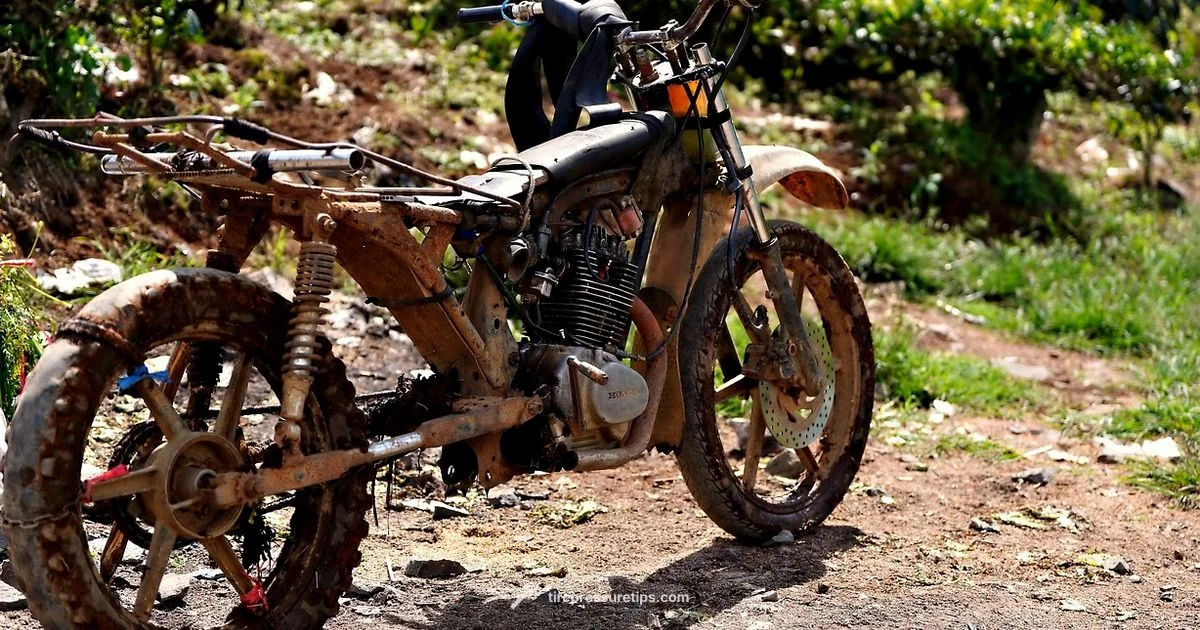 Tire Pressure Basics - Tire Pressure Tips