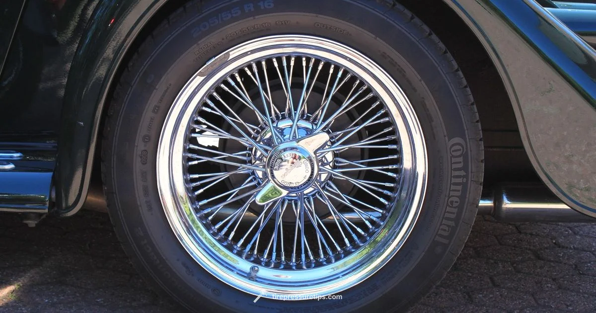 TPMS Sensor Guide TPMS Sensor Guide - Tire Pressure Tips