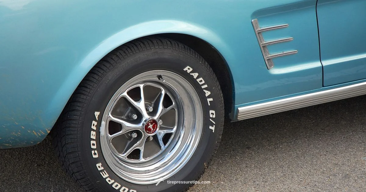 Fiat Tyre Pressure Guide - Tire Pressure Tips