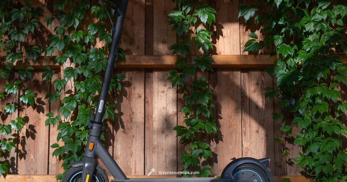 Ninebot Tire Pressure - Tire Pressure Tips