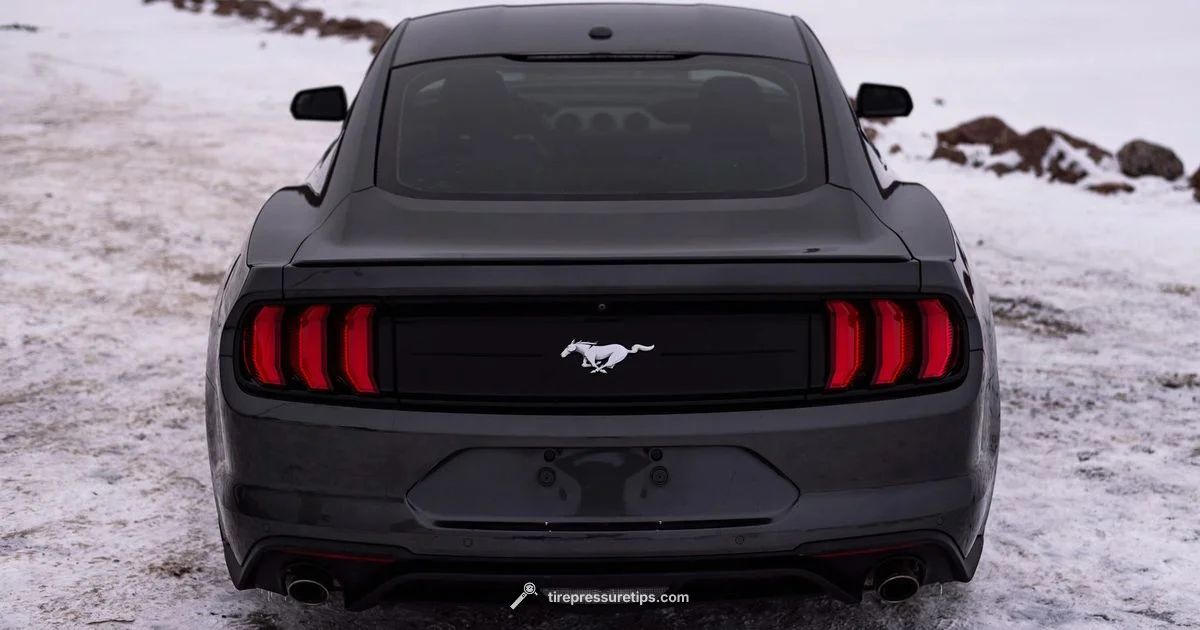 Winter Tire Check - Tire Pressure Tips