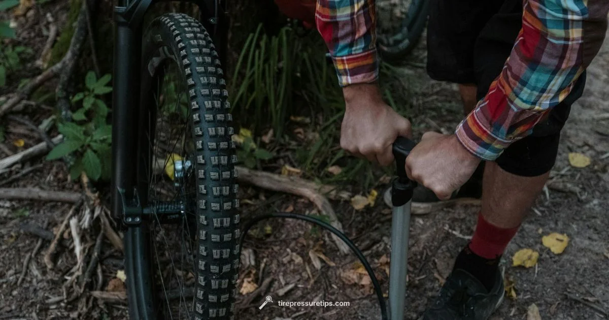 Air for Tires - Tire Pressure Tips