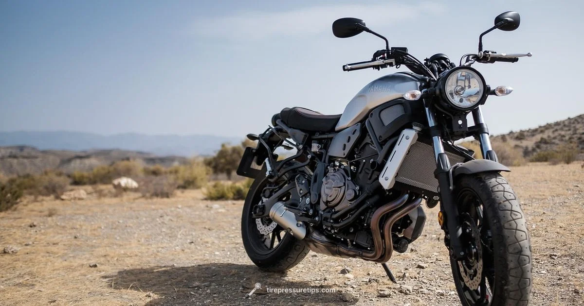 Tyre Pressure Essentials - Tire Pressure Tips