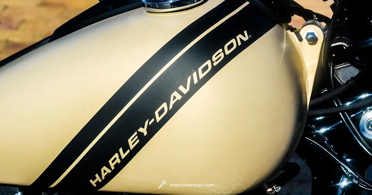 Sportster Tire Care - Tire Pressure Tips