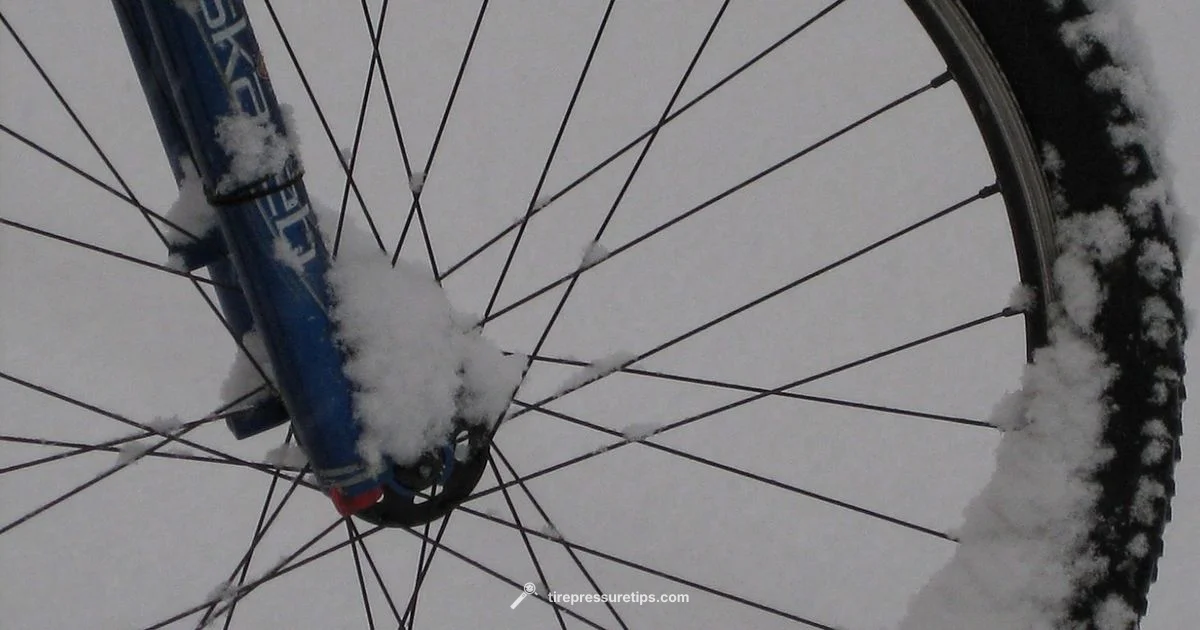 Winter Tire Care - Tire Pressure Tips