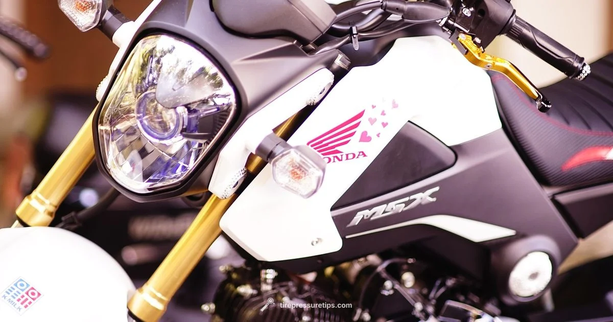 Honda Unicorn Tyre Pressure - Tire Pressure Tips