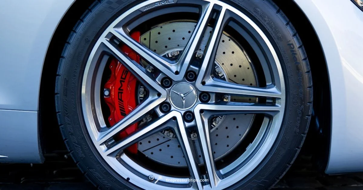 Michelin TPMS Guide - Tire Pressure Tips