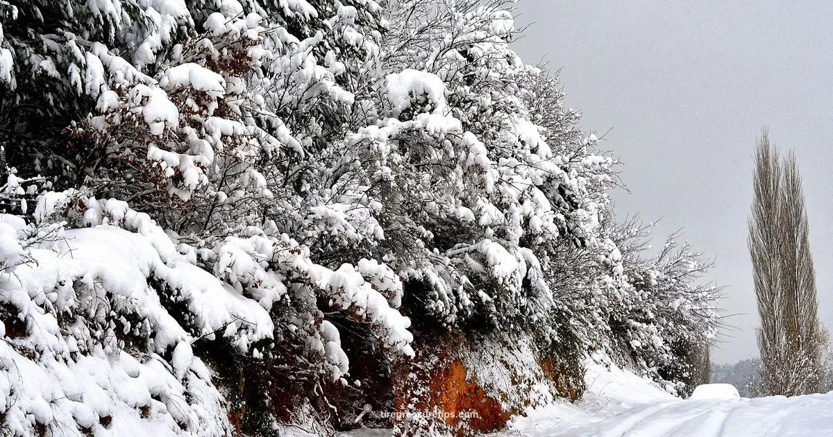 Cold Weather & Tire Pressure - Tire Pressure Tips