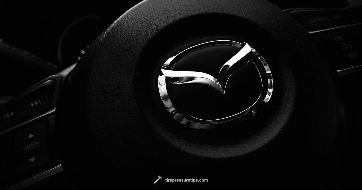 Tire Light Fix - Tire Pressure Tips