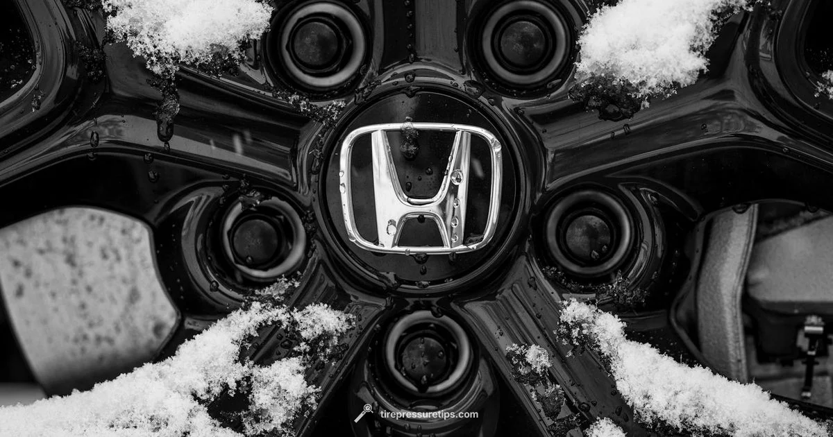 TPMS Sensor Basics - Tire Pressure Tips