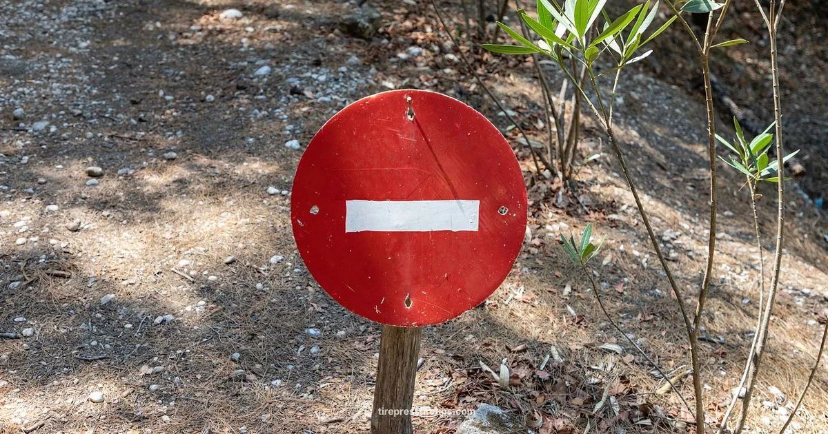 Low Pressure Alert - Tire Pressure Tips