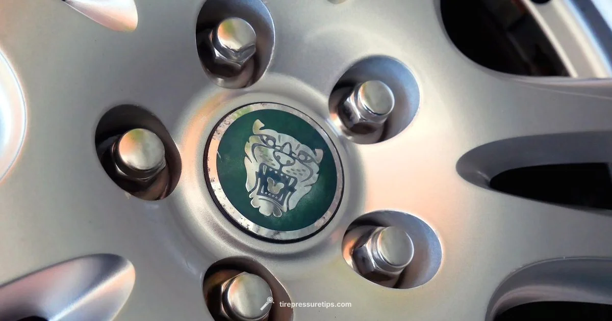 Wireless TPMS Guide - Tire Pressure Tips